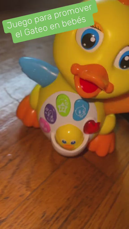 Crawling Duck Toy – Music & Lights Infant Development