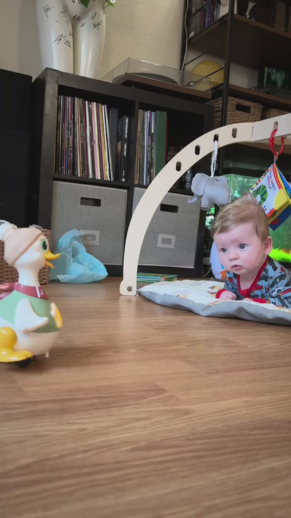 3‑Pack Duck Family Toy Set – Lights, Music & Motor Activity